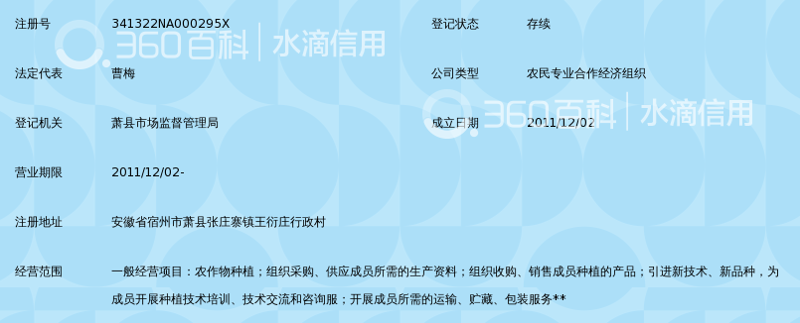 苦梅网登录：轻松开启数字生活新篇章